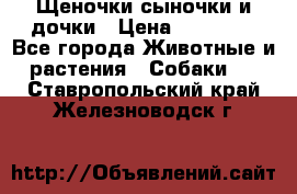 Щеночки-сыночки и дочки › Цена ­ 30 000 - Все города Животные и растения » Собаки   . Ставропольский край,Железноводск г.